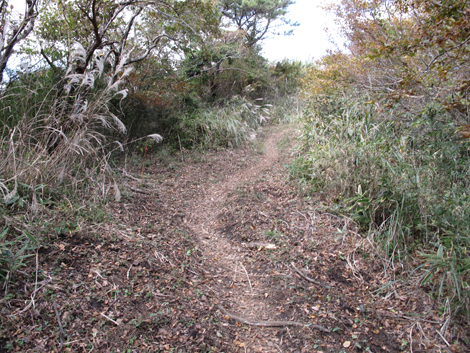 20181102hike (120)